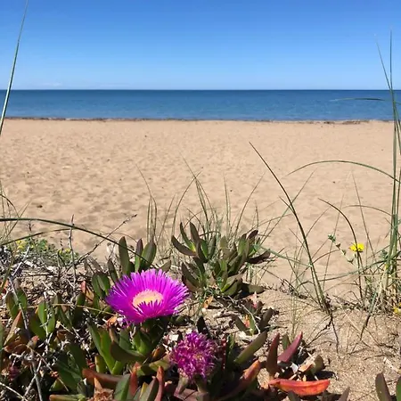 Denia Beach Denia